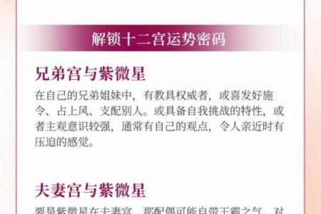 紫微斗数诸星落诸宫之：天府星兄弟宫详解
