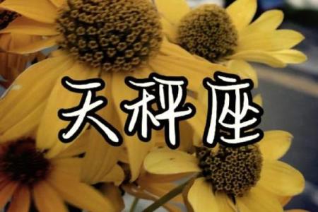 这些星座女胆小又怕黑让人升起保护欲