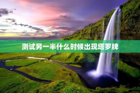 塔罗测试：未来另一半有什么特征