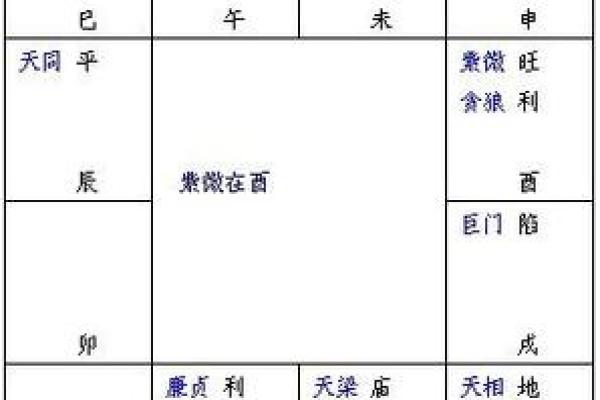 紫薇斗数看每日流盘