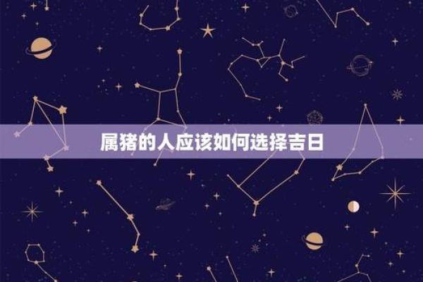 属猪出生最好六个吉日 属猪的出生吉日