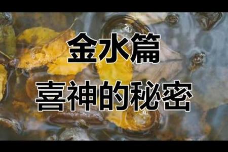 八字属木喜神金