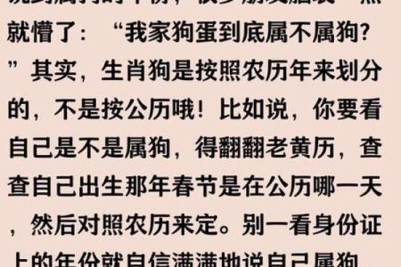 老黄历择吉 属狗2024年开业最吉利好日子