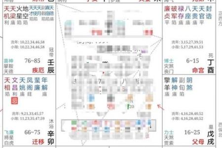 紫薇斗数看每日流盘