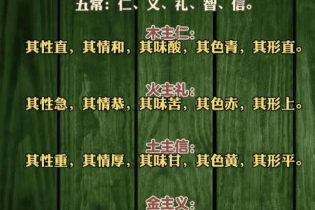 周易八字命理学 周易八字命理学详解