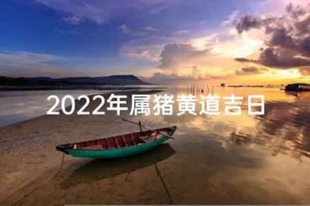 属猪出生最好六个吉日 属猪的出生吉日