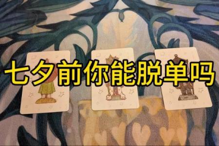 塔罗牌测试：11月你会脱单吗？