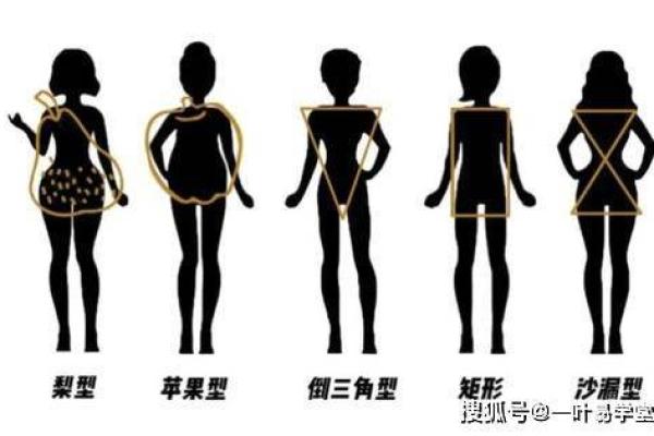 八字与身材