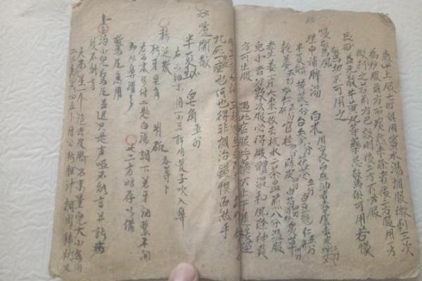 逆天改运？《飞星紫微斗数》古籍揭秘命运织锦，一册在手扭转乾坤