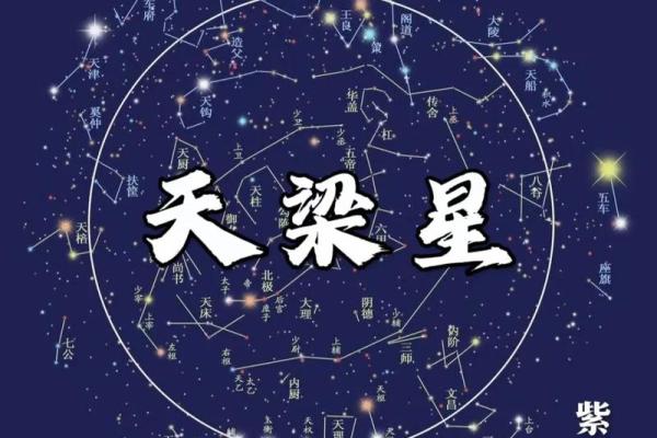 紫薇斗数与数术