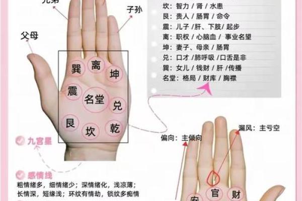 看手相算命：第一课 手相概论