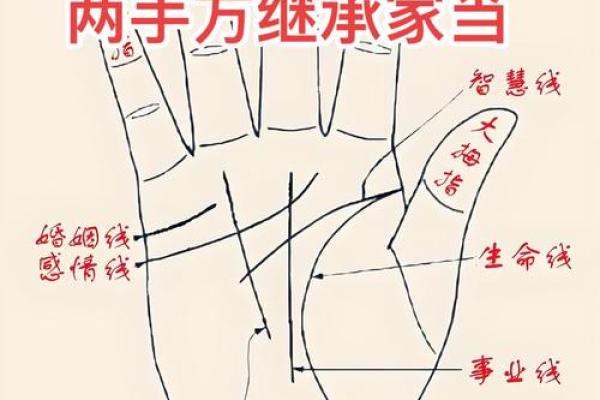 看手相算命：第一课 手相概论