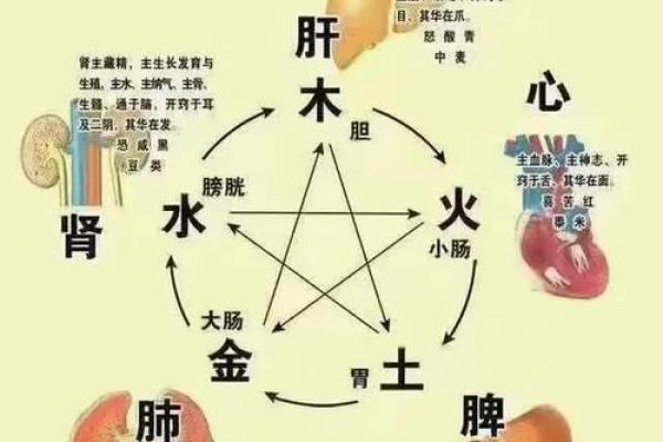 阴阳八卦算命,阴阳八卦看命