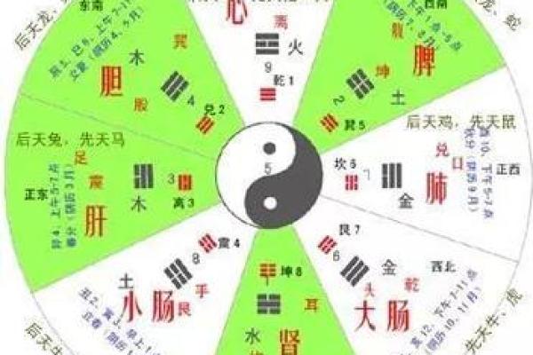 阴阳八卦算命,阴阳八卦看命
