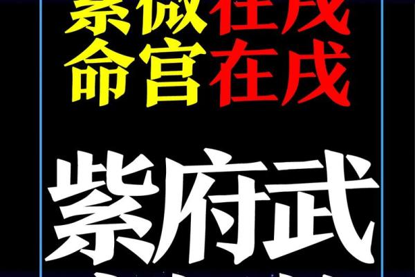 紫薇星盘命主破军