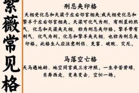 紫薇斗数格局分类