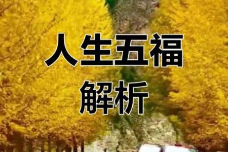 五福算命中什么意思