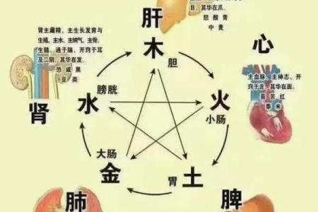 阴阳八卦算命,阴阳八卦看命