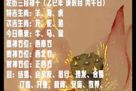 七月星座事业运势