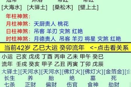 紫薇星盘命主破军