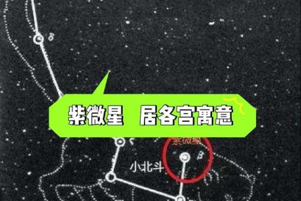 北斗星和紫薇星的区别
