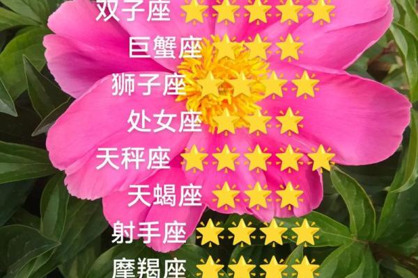 未来一年运势爆棚的星座