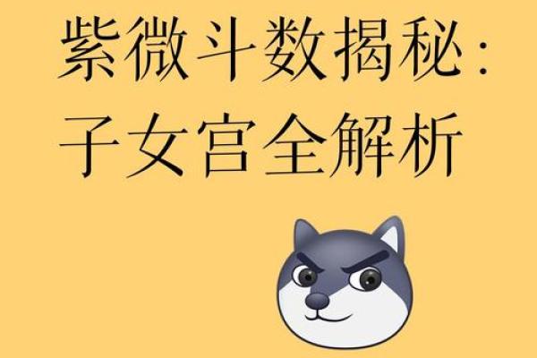紫薇斗数看子女缘分