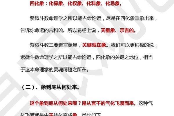 紫薇斗数如何四化