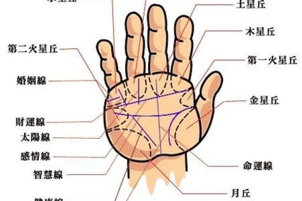 手相算命图解，手相图解大全