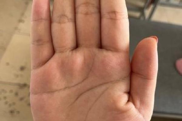 算命中指的官是什么