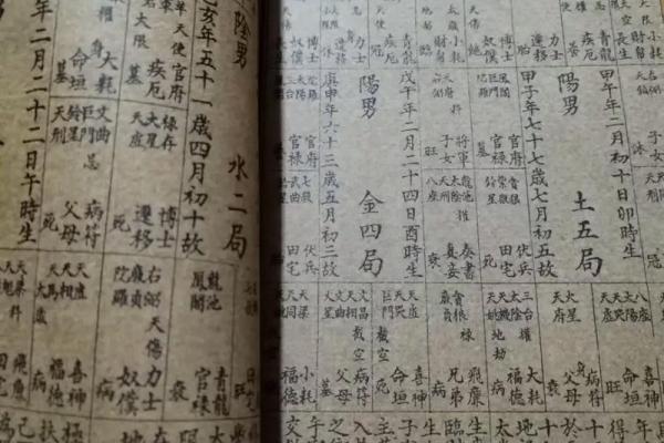 紫薇斗数好工作
