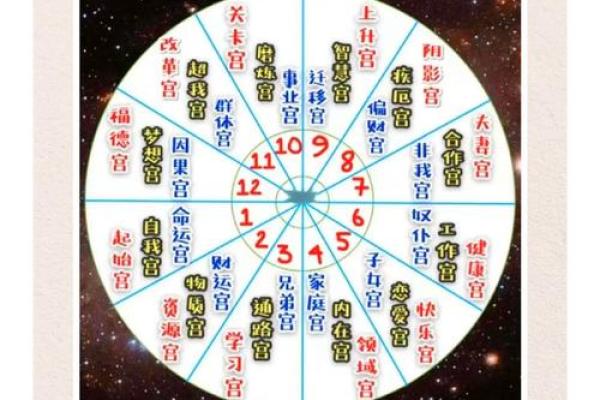 紫薇斗数身宫