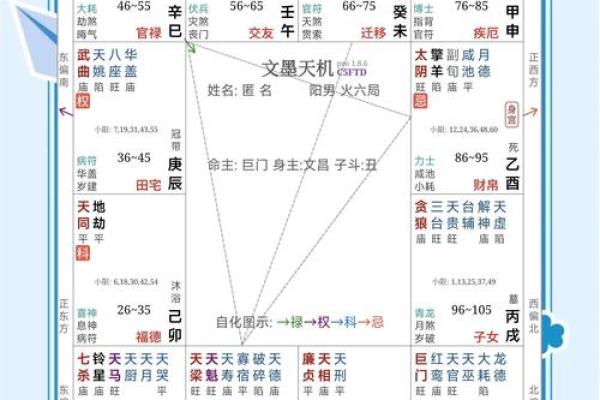 紫薇斗数身宫