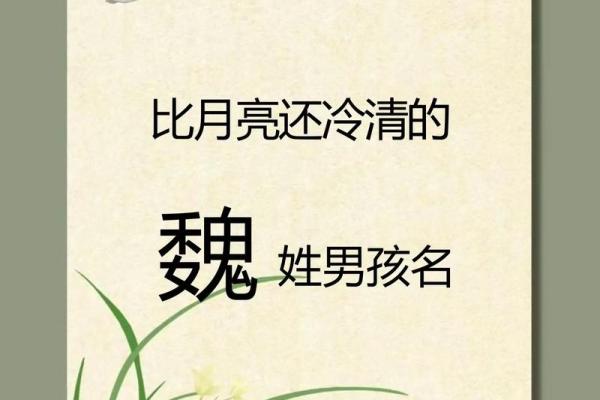 魏姓男孩名字大全-魏姓男孩起名字大全-魏姓名字大全姓名