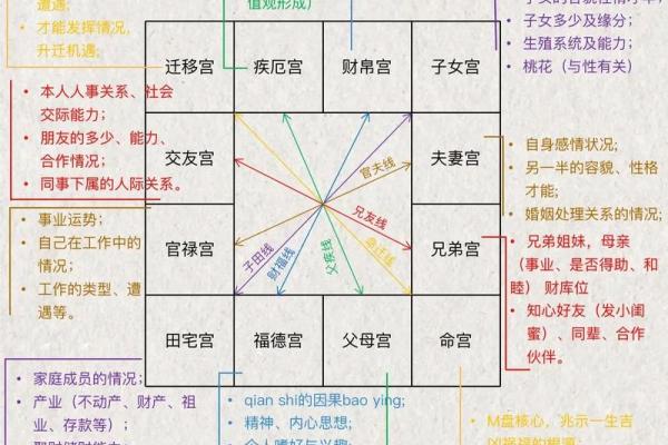 紫薇斗数命主什么意思 紫薇斗数命主什么意思