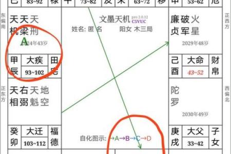 紫薇斗数变动的意思