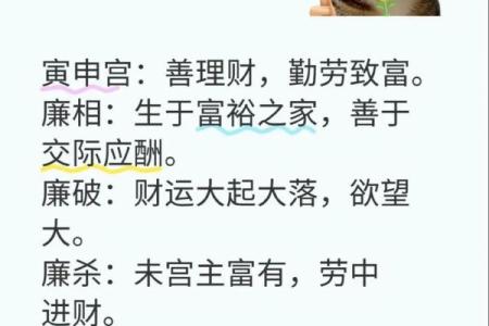 紫微斗数诸星落诸宫之：廉贞星迁移宫详解
