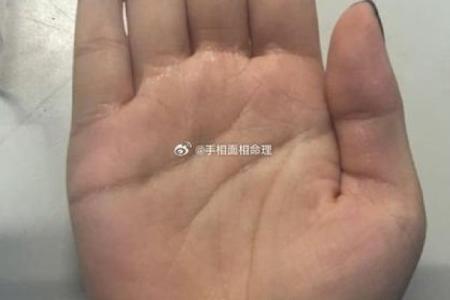 算命中指的官是什么
