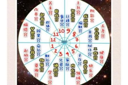 紫薇斗数身宫