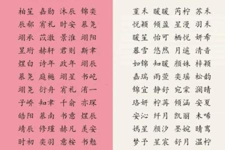 八字起名网官网,免费取名网生辰八字起名大全