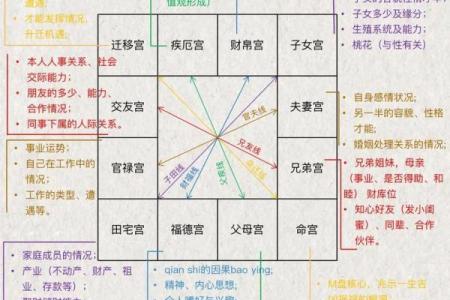 紫薇斗数命主什么意思