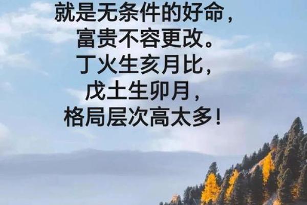 八字里有命挣没命花啥意思