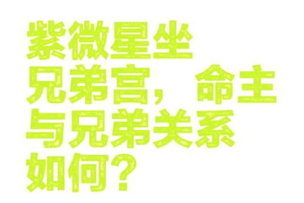 紫微斗数之兄弟宫在寅宫，是什么意思？