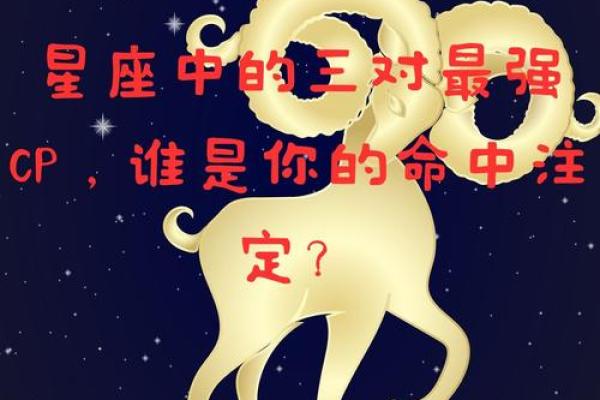 白羊座男生和什么星座女天生一对？