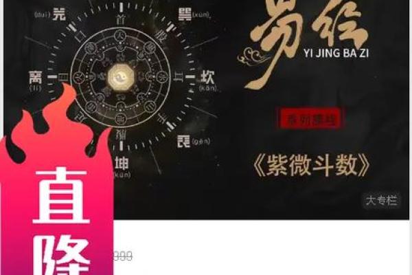出名的紫薇斗数老师