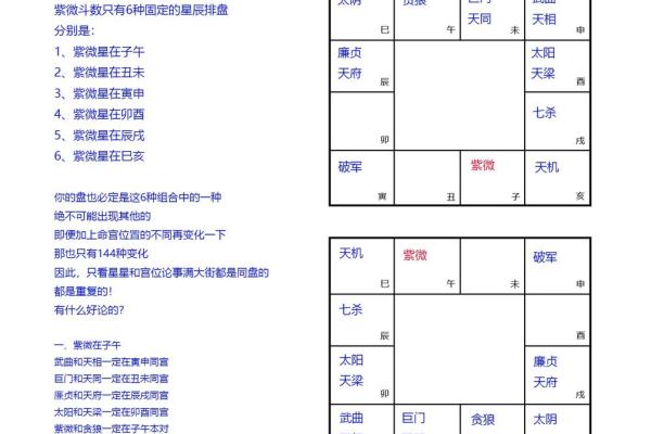 紫薇斗数飞星排盘