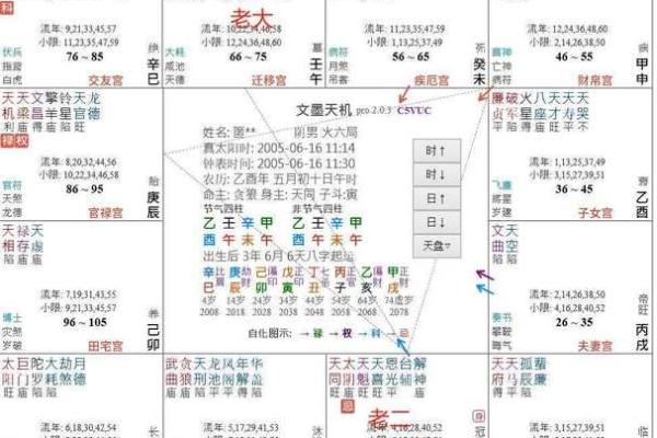 紫薇斗数飞星排盘