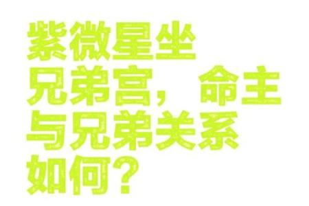 紫微斗数之兄弟宫在寅宫，是什么意思？