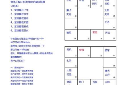 紫薇斗数飞星排盘