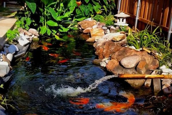 二楼养鱼风水